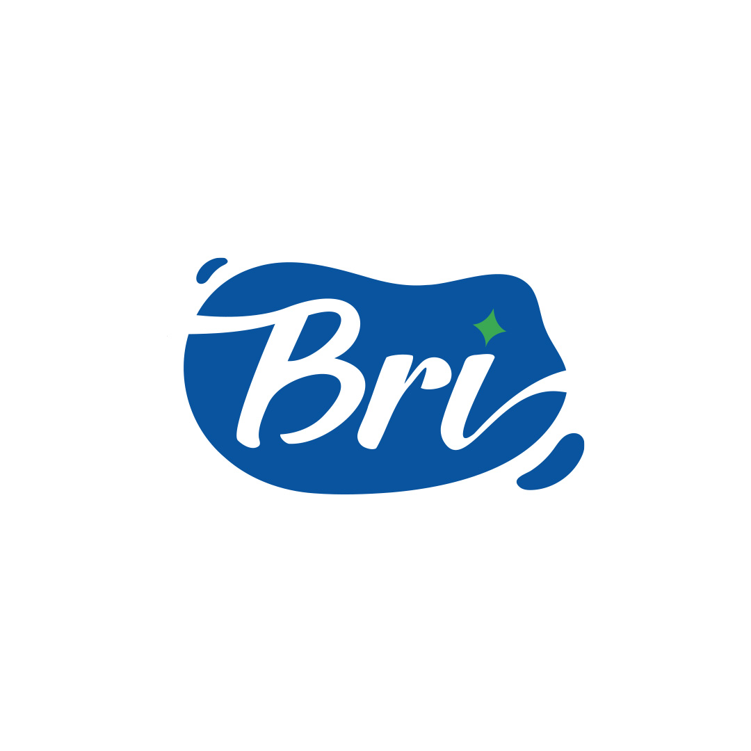 Bri Limpeza imagem do projeto 3